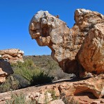 Dodo Rock in the Katbakkies Pass linking the Tankwa Karoo with the Kouebokkeveld