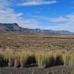 The Nuweveld Mountains stretch away towards distant Beaufort West