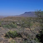 The wide open space of the Karoo National Park