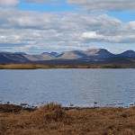 View across Nqweba Dam towards the wildlife viewing area