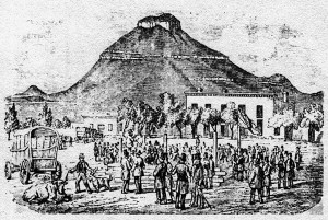 Sale of Angora Goats in Graaff-Reinet in 1857
