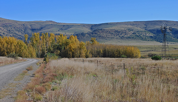 Autumn colours in the Swaerhoek Valley