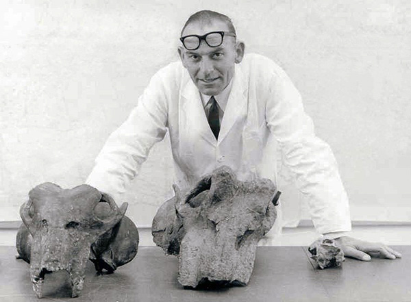 Prof Kitching with Lystrosaurus Fossils