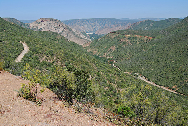 The road twists and turns through the rugged Baviaanskloof