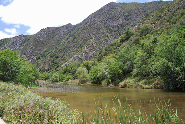 The Groot River marks the Eastern End of Baviaanskloof